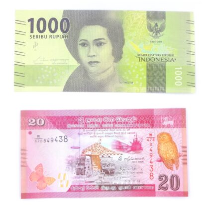 Lote de 2 billetes de Indonesia